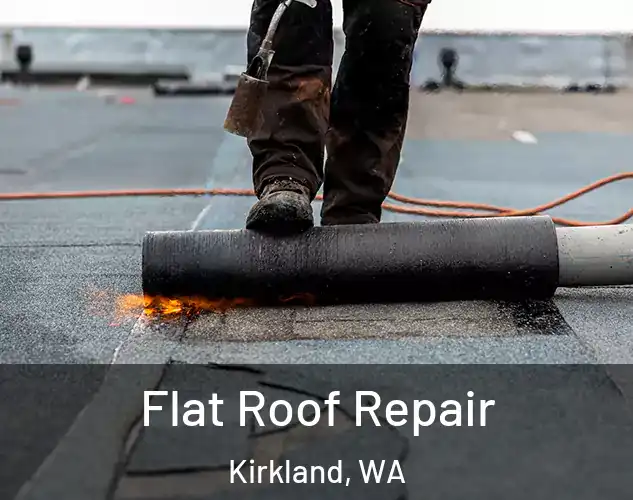  Flat Roof Repair Kirkland, WA