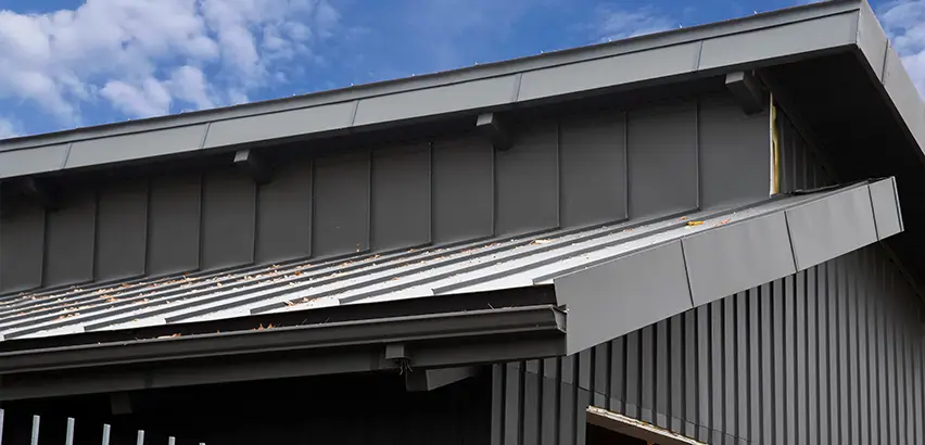Professional Roof Eaves Installation Services in Kirkland, WA