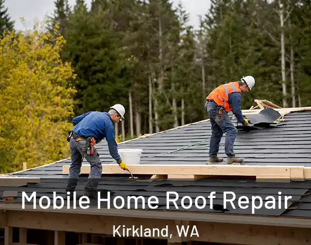  Mobile Home Roof Repair Kirkland, WA