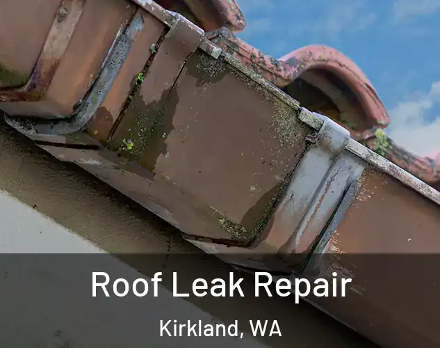  Roof Leak Repair Kirkland, WA